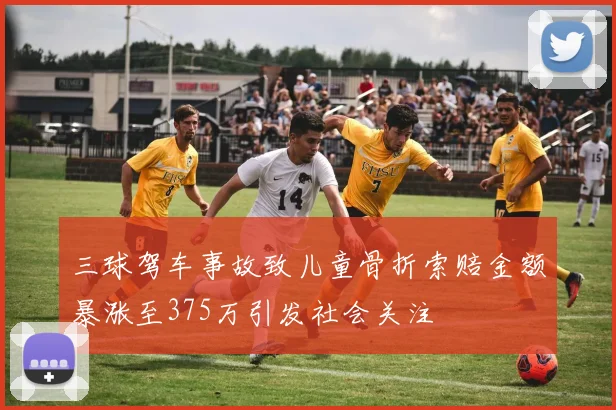 三球驾车事故致儿童骨折索赔金额暴涨至375万引发社会关注